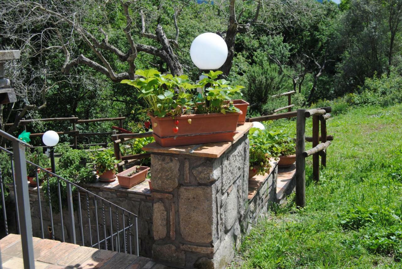 Villa Farfalla Bianca Vitorchiano Extérieur photo