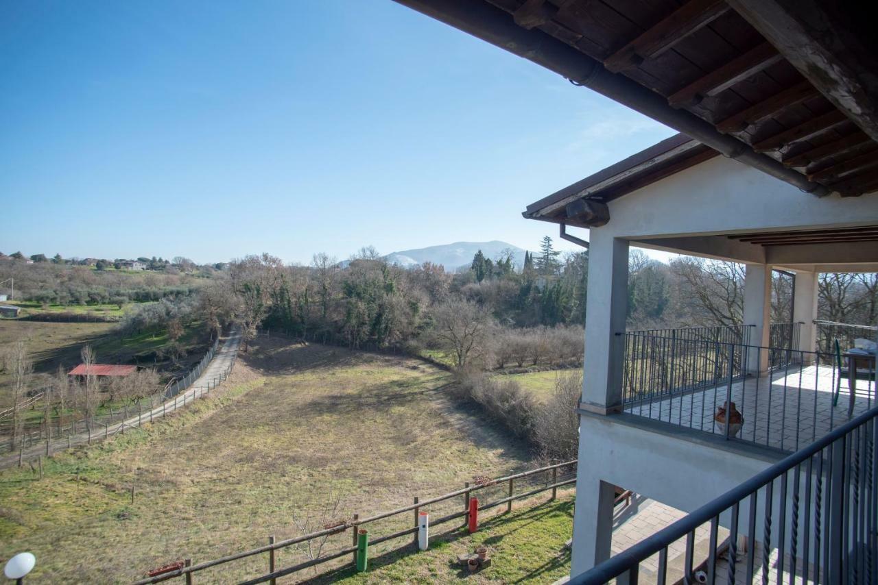 Villa Farfalla Bianca Vitorchiano Extérieur photo